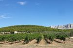 R&eacute;union technique 2021 - Aix Oenologie
