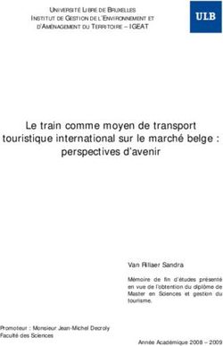 Le train comme moyen de transport touristique international sur le marché belge : perspectives d'avenir