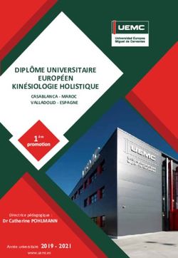 DIPLÔME UNIVERSITAIRE EUROPÉEN KINÉSIOLOGIE HOLISTIQUE - CASABLANCA - MAROC VALLADOLID - ESPAGNE