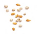 Découvrez la puissance des superaliments grâce aux nouvelles barres Sesame Snaps Seeds & Grains, des barres délicieuses et nutritives pour ...