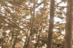 DOSSIER Circuler &agrave; Pr&eacute;vessin-Mo&euml;ns - Janvier - F&eacute;vrier - Mars 2016 - N 79 - Pr&eacute;vessin-Mo&euml;ns