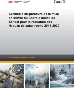 Examen &agrave; mi-parcours de la mise en oeuvre du Cadre d'action de Sendai pour la r&eacute;duction des risques de catastrophe 2015-2030 - B&acirc;tir un Canada ...
