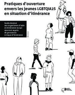 Pratiques d'ouverture envers les jeunes LGBTQIA2S en situation d'itinérance - Guide destiné aux organismes d'aide en itinérance ou qui oeuvrent ...