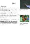 Guide POUR L'ELABORATION DES PLANS COMMUNAUX DE LUTTE CONTRE LES MOUSTIQUES ET DE PREVENTION DES MALADIES VECTORIELLES