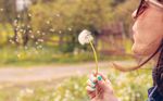 Programme de campagne 2019 - Conseil national - PLR Valais
