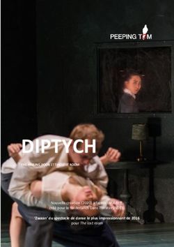DIPTYCH THE MISSING DOOR ET THE LOST ROOM - 'Zwaan' du spectacle de danse le plus impressionnant de 2016 - Frans Brood Productions