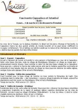 Fascinante Cappadoce et Istanbul - VL03