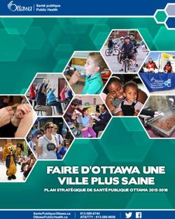 FAIRE D'OTTAWA UNE VILLE PLUS SAINE - PLAN STRATÉGIQUE DE SANTÉ PUBLIQUE OTTAWA 2015-2018