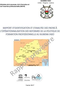 RAPPORT D'IDENTIFICATION ET D'ANALYSE DES FREINS &Agrave; L'OP&Eacute;RATIONNALISATION DES REFORMES DE LA POLITIQUE DE FORMATION PROFESSIONNELLE AU BURKINA FASO ...