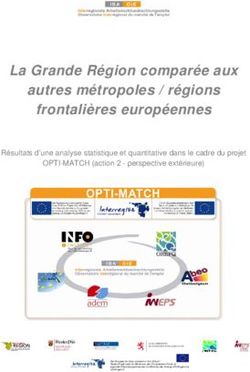 La Grande Région comparée aux autres métropoles / régions frontalières européennes - Frontaliers Grand Est