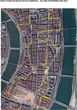 VISITE GUIDEE DE BELLECOUR AUX TERREAUX - (C) LYON-PATRIMOINE.ORG 2014