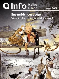 Info Ixelles Ensemble, c'est tout ! Samen kunnen we alles aan ! - Elsene - Commune d'Ixelles