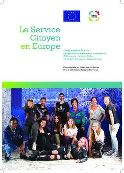 Le Service Citoyen en Europe Comparaison des six - programmes nationaux autonomes: Allemagne, France, Italie, Pays-Bas, Belgique, Luxembourg