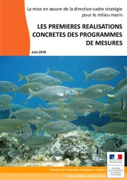LES PREMIERES REALISATIONS CONCRETES DES PROGRAMMES DE MESURES - La mise en oeuvre de la directive-cadre stratégie pour le milieu marin ...