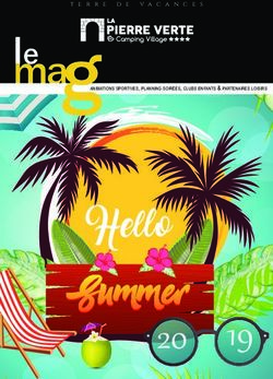 Male ganimations sportives, planning soir&eacute;es, clubs enfants & partenaires loisirs - Camping la Pierre Verte
