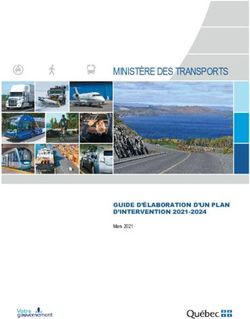 MINISTÈRE DES TRANSPORTS - GUIDE D'ÉLABORATION D'UN PLAN D'INTERVENTION 2021-2024