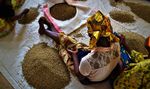 Personnes, Santé et Nature: Un programme de transformation de l'Afrique subsaharienne - Food and Land Use Coalition