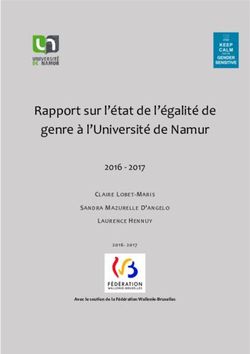 Rapport sur l'état de l'égalité de genre à l'Université de Namur 2016 - 2017 CLAIRE LOBET-MARIS - Université de Namur