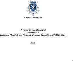 4e rapportage au Parlement concernant le Troisi&egrave;me Plan d'Action National 'Femmes, Paix, S&eacute;curit&eacute;' (2017-2021) 2020