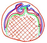 Présentation du règne animal - Docteur Bertrand FAVIER