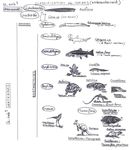 Présentation du règne animal - Docteur Bertrand FAVIER