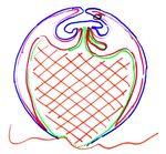 Présentation du règne animal - Docteur Bertrand FAVIER