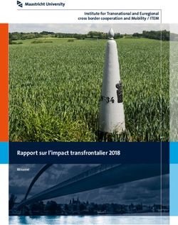 Rapport sur l'impact transfrontalier 2018 - Institute for Transnational and Euregional cross border cooperation and Mobility / ITEM - Maastricht ...