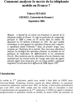 Comment analyser le succès de la téléphonie mobile en France ?