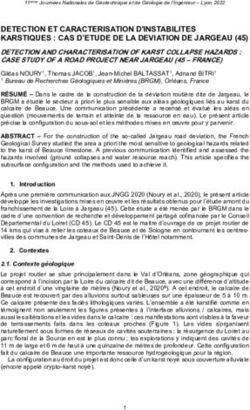 DETECTION ET CARACTERISATION D'INSTABILITES KARSTIQUES : CAS D'ETUDE DE LA DEVIATION DE JARGEAU (45) DETECTION AND CHARACTERISATION OF KARST ...