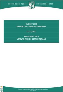 BUDGET 2018 RAPPORT AU CONSEIL COMMUNAL BEGROTING 2018 VERSLAG AAN DE GEMEENTERAAD 21/12/2017