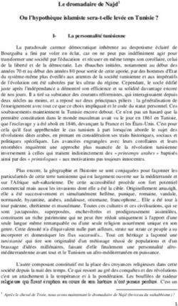 Ou l'hypoth&egrave;que islamiste sera-t-elle lev&eacute;e en Tunisie ?