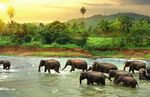 SRI-LANKA - Expert Voyage