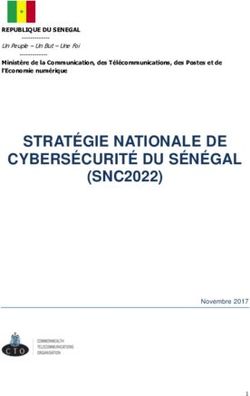 STRATÉGIE NATIONALE DE CYBERSÉCURITÉ DU SÉNÉGAL (SNC2022)