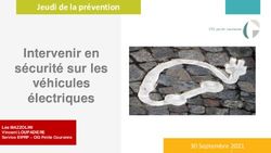 Intervenir en s&eacute;curit&eacute; sur les v&eacute;hicules &eacute;lectriques - Jeudi de la pr&eacute;vention - CIG ...