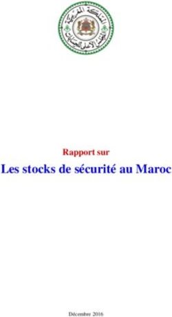 Les stocks de sécurité au Maroc - Rapport sur - Cour des comptes