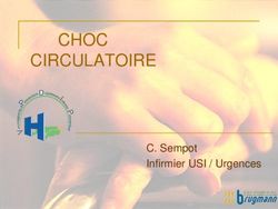 CHOC CIRCULATOIRE C. Sempot Infirmier USI / Urgences