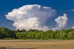 Comment la convection et son organisation affecte-t-elle la composition isotopique de l'eau?