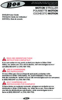 MOTION STROLLER POUSSETTE MOTION COCHECITO MOTION