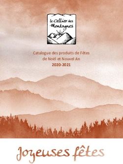 Catalogue des produits de Fêtes de Noël et Nouvel An 2020-2021