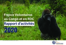 Rapport d'activit&eacute;s - France Volontaires au Congo et en RDC