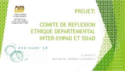 PROJET: COMITE DE REFLEXION ETHIQUE DEPARTEMENTAL INTER-EHPAD ET SSIAD