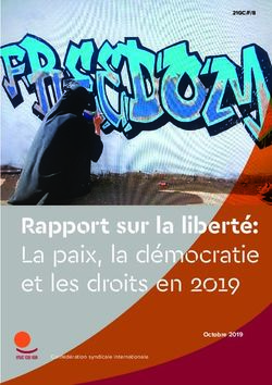 Freedom Report: Peace, Democracy and Rights in 2019 - Rapport sur la liberté: La paix, la démocratie et les droits en 2019