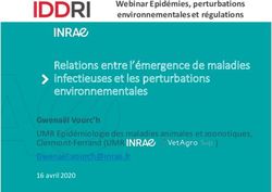 Relations entre l'émergence de maladies infectieuses et les perturbations environnementales - Iddri