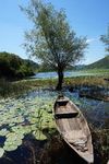 Rivières, lacs et canyons du Nord - VOTRE AVENTURE ÉCOTOURISTIQUE AU MONTÉNÉGRO - Montenegro Eco Adventures