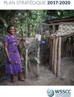 PLAN STRATÉGIQUE 2017-2020 - WSSCC