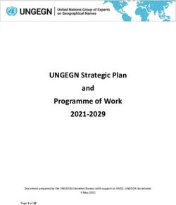 UNGEGN Strategic Plan and Programme of Work 2021-2029