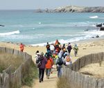 Strat&eacute;gie nationale pour la biodiverSit&eacute; 2011-2020