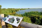 Strat&eacute;gie nationale pour la biodiverSit&eacute; 2011-2020