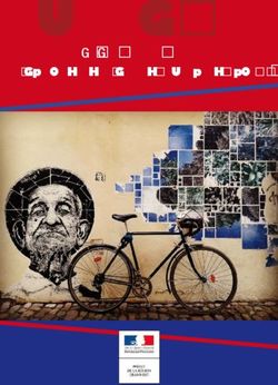 Grand Est Guide des bonnes pratiques - " d&eacute;ploiement d'une strat&eacute;gie v&eacute;lo " - Minist&egrave;re de la ...