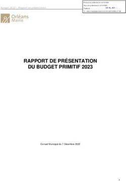 RAPPORT DE PR&Eacute;SENTATION DU BUDGET PRIMITIF 2023